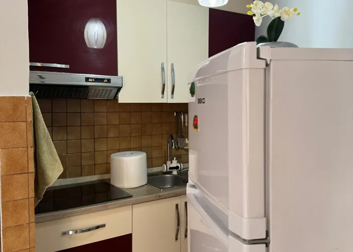 Centre Lions Gate 9 地拉那